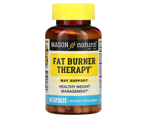 Mason Natural, Сжигатель жира с пиколинатом хрома, L-карнитином и железом, 60 капсул Mason Natural, Сжигатель жира с пиколинатом хрома, L-карнитином и железом, 60 капсул