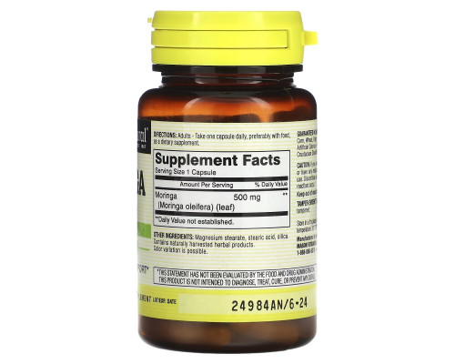 Mason Natural Moringa 500 mg 60 Capsules Mason Natural Moringa 500 mg 60 Capsules