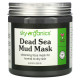 Sky Organics, Dead Sea Mud Mask, 8.8 fl oz (250 g)