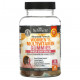 Женское здоровье Women's Multivitamin Gummies, Advanced Formula, 60 Gummies