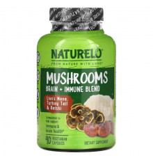 Грибы Mushrooms, Brain + Immune Blend, 90 Vegetarian Capsules