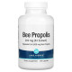 Lake Avenue Nutrition, Bee Propolis, 5:1 Extract, 1,000 mg, 240 Veggie Capsules