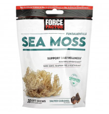 Force Factor, Fundamentals, Sea Moss, Salted Caramel, 30 Soft Chews