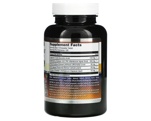 Amazing Nutrition, Elderberry Complex, Berry, 120 Chewable Tablets