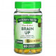 Улучшение памяти и работы мозга Brain Up, With L-Theanine, Bacopa, B-12, MCT, 60 Liquid Max Softgels