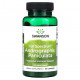 Аюрведа Swanson, Andrographis paniculata полного спектра, 400 мг, 60 капсул