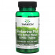Фрукты и ягоды Swanson, Berberine Plus с горькой дыней и расторопшей, 60 капсул