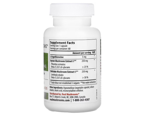 Real Mushrooms, ERGO + L-Ergothioneine, 60 Capsules Real Mushrooms, ERGO + L-Ergothioneine, 60 Capsules