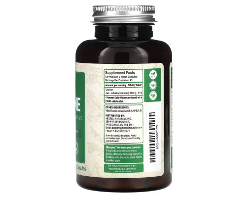 Nested Naturals, Холин (битартрат L (+) холина), 250 мг, 90 веганских капсул Nested Naturals, Холин (битартрат L (+) холина), 250 мг, 90 веганских капсул