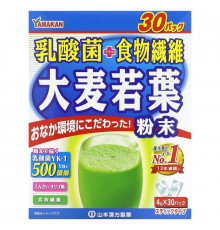 Yamamoto Kanpoh, Young Barley Leaf + Probiotics, 30 Sachets, 0.4 oz (4 g) Each