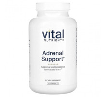 Улучшение памяти и работы мозга Vital Nutrients, добавка для поддержки надпочечников, 240 капсул