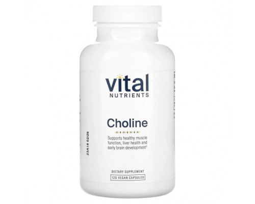 Витамины группы B Vital Nutrients, холин, 120 веганских капсул Витамины группы B Vital Nutrients, холин, 120 веганских капсул