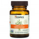 Для здоровья печени Himalaya, LiverCare, 42 вегетарианские капсулы