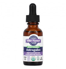БАДы для укрепления иммунитета Biodynamic, Astragalus, 1 fl oz (30 ml)