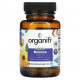 Пребиотики и пробиотики Organifi, Original Balance Probiotic, 30 капсул