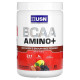USN, BCAA Amino+, Recovery & Endurance Powder, Fruit Punch, 9.63 oz (273 g)