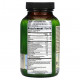 Пребиотики и пробиотики Irwin Naturals, Healthy Tract Prebiotic, пребиотик для здоровья кишечника, 60 капсул с жидкостью