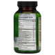 Irwin Naturals, Global Wellness Immuno-shield with Elderberry, 60 Liquid Soft-Gels