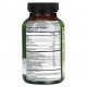 Улучшение памяти и работы мозга Irwin Naturals, Healthy Brain, для здоровья на весь день, 60 мягких таблеток