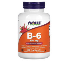 Now Foods B-6 100 мг 250 капсул