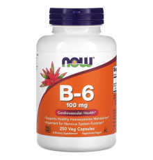 Now Foods B-6 100 мг 250 капсул