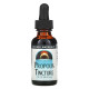 Source Naturals, Настойка прополиса, 1 жидкая унция (29,57 мл)