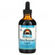 Растительные экстракты и настойки Source Naturals, Wellness, травяная жидкость для повышения устойчивости с эхинацеей, коптисом и инь цзяо, без спирта, 118,28 мл (4 жидк. Унции)