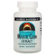 Source Naturals, Экстракт мастиковой смолы, 60 капсул