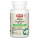 Пребиотики и пробиотики Jarrow Formulas, Vegan Jarro-Dophilus Plus FOS, 100 растительных капсул