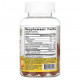 Пребиотики и пробиотики Jarrow Formulas, Probiotic + Immune, апельсин, 2 млрд, 50 жевательных таблеток