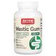 Jarrow Formulas Mastic Gum 500 mg 120 Capsules