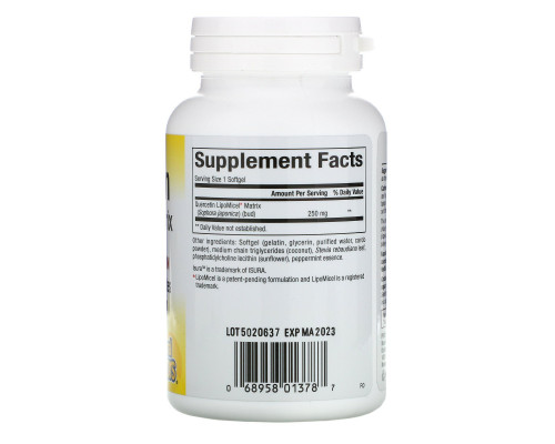 Natural Factors, Quercetin LipoMicel Matrix, 60 Liquid Softgels Natural Factors, Quercetin LipoMicel Matrix, 60 Liquid Softgels