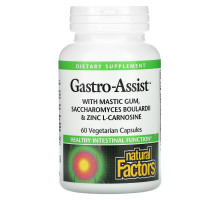Natural Factors, Gastro-Assist with Mastic Gum, Saccharomyces Boulardii & Zinc L-Carnosine, 60 Vegetarian Capsules