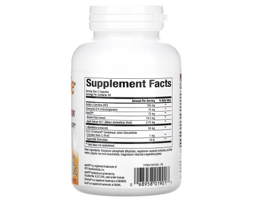 Natural Factors, RegenerLife, Optimize Mitochondrial Function, 120 Vegetarian Capsules Natural Factors, RegenerLife, Optimize Mitochondrial Function, 120 Vegetarian Capsules