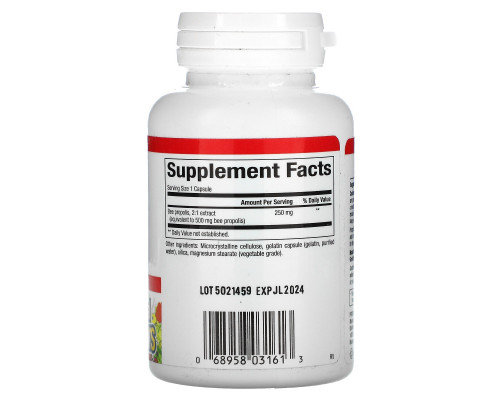 Natural Factors, Пчелиный прополис, 250 мг, 90 капсул Natural Factors, Пчелиный прополис, 250 мг, 90 капсул