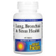Natural Factors, Lung, Bronchial & Sinus Health, 45 таблеток
