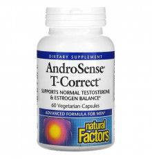 Natural Factors, Тестостерон Андросенс Т-коррект, 60 вегетарианских капсул