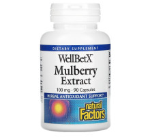 Natural Factors, WellBetX, мультиягодный экстракт, 100 мг, 90 капсул