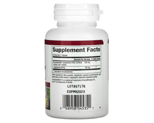 Natural Factors, Экстракт виноградной косточки, 95% полифенолов, 100 мг, 60 растительных капсул Natural Factors, Экстракт виноградной косточки, 95% полифенолов, 100 мг, 60 растительных капсул