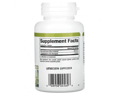 От гриппа и простуды Natural Factors, Herbal Factors, листья оливкового дерева, 500 мг, 60 капсул От гриппа и простуды Natural Factors, Herbal Factors, листья оливкового дерева, 500 мг, 60 капсул