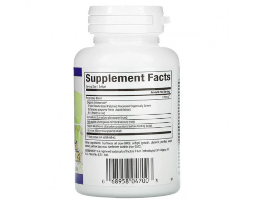 Эхинацея Anti-V Formula, with Clinically Proven Echinamide, 60 Softgels Эхинацея Anti-V Formula, with Clinically Proven Echinamide, 60 Softgels