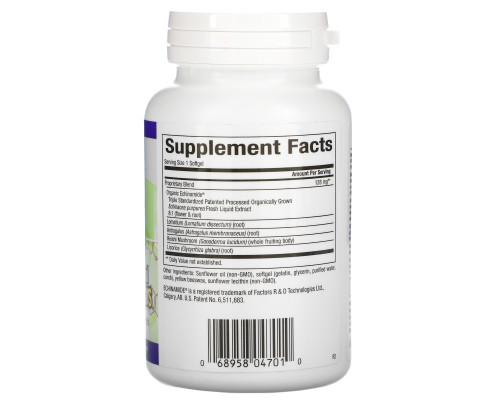 Natural Factors, Формула Anti-V с эхинамидом, 120 гелевых капсул Natural Factors, Формула Anti-V с эхинамидом, 120 гелевых капсул