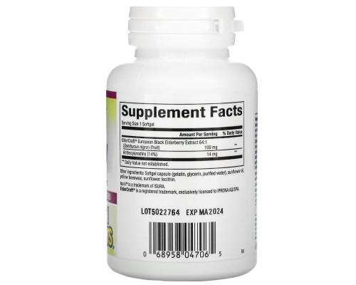 Natural Factors, Black Elderberry, 100 mg, 60 Fast-Acting Softgels Natural Factors, Black Elderberry, 100 mg, 60 Fast-Acting Softgels