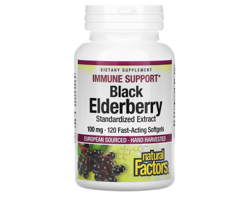 Natural Factors, Black Elderberry, 100 mg, 120 Fast-Acting Softgels