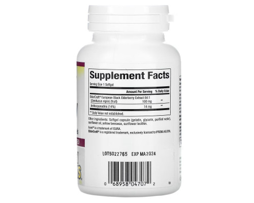 Natural Factors, Black Elderberry, 100 mg, 120 Fast-Acting Softgels
