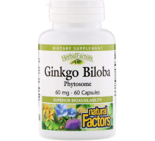 Natural Factors, Фитосомы гинкго двулопастного, 60 мг, 60 капсул