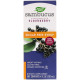 Nature's Way, Sambucus, Elderberry Syrup, Sugar-Free, 4 fl oz (120 ml)