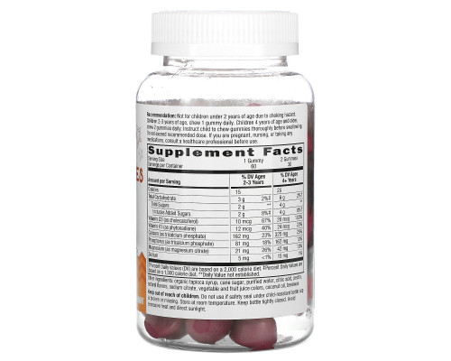 Nature's Way, Kids, Growing Bones & Muscles, Ages 2 +, Wildberry, 60 Gummies Nature's Way, Kids, Growing Bones & Muscles, Ages 2 +, Wildberry, 60 Gummies