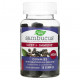 БАДы для укрепления иммунитета Nature's Way, Sambucus, Sleep + Immune, 50 Gummies