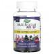 От гриппа и простуды Nature's Way, Sambucus Relief, поддержка иммунитета, бузина и южноафриканская герань, 60 жевательных таблеток